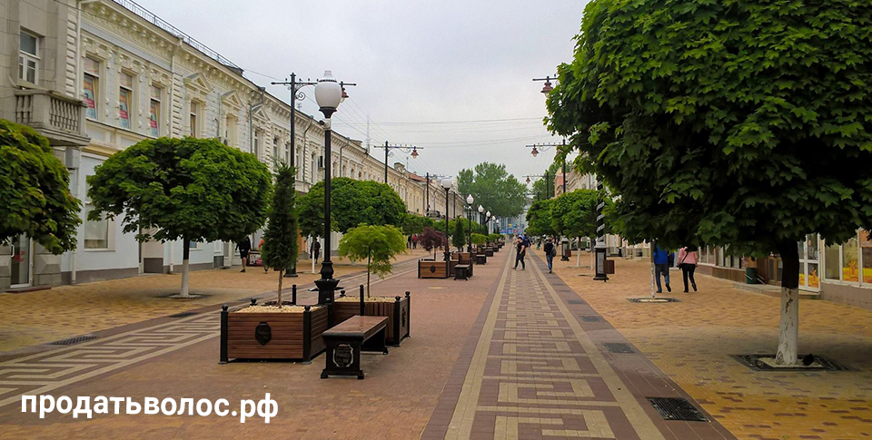 Сколько стоит продать волосы в Симферополе?